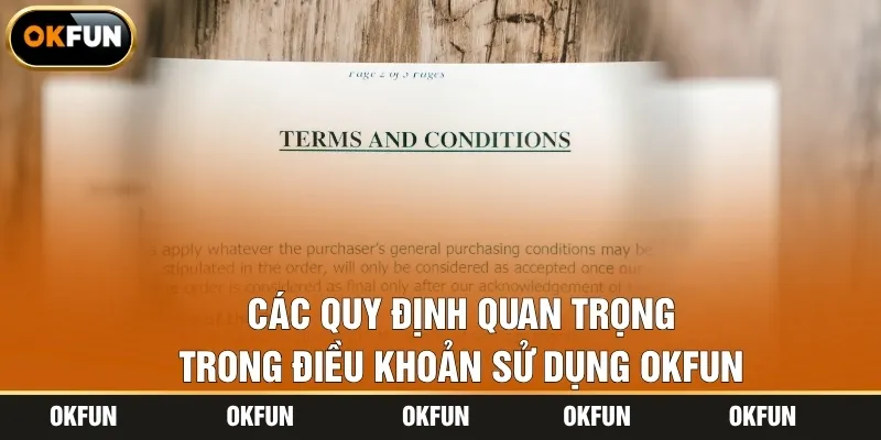 Các quy định quan trọng trong điều khoản sử dụng OKFUN