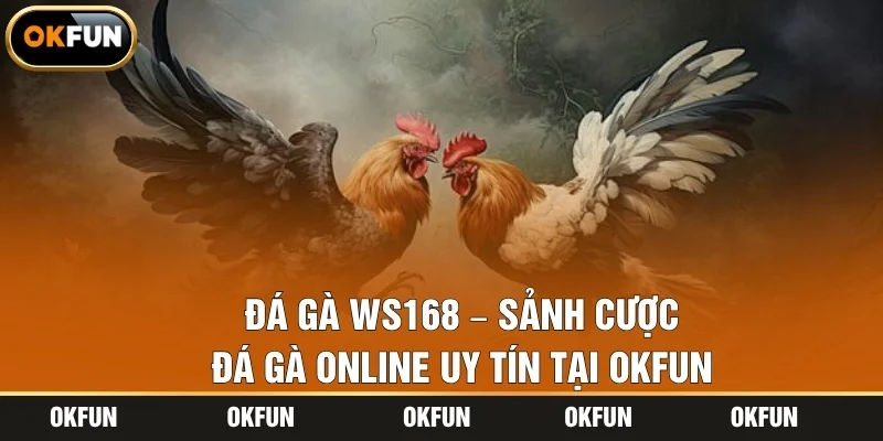 Đá Gà WS168 – Sảnh Cược Đá Gà Online Uy Tín Tại OKFUN