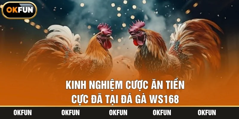 Kinh nghiệm cược ăn tiền cực đã tại đá gà WS168