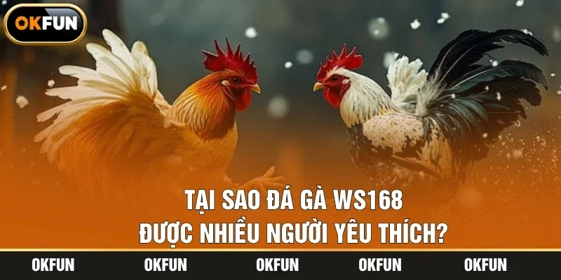 Tại sao đá gà WS168 được nhiều người yêu thích?