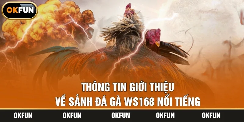 Thông tin giới thiệu về sảnh đá gà WS168 nổi tiếng