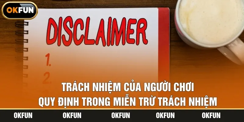 Trách nhiệm của người chơi quy định trong miễn trừ trách nhiệm